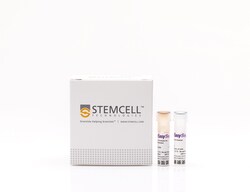 STEMCELL Technologies EasySep Human Monocyte Enrichment Kit, For processing: