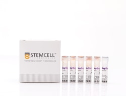 STEMCELL Technologies&nbsp;EasySep&trade; Human Naïve B Cell Enrichment Kit, For processing: 1 x 10^9 cells
