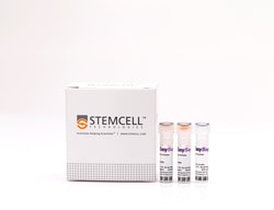 STEMCELL Technologies EasySep Human Pan-Granulocyte Isolation Kit 1 x 10<sup>9</sup> Cells | Buy Online | STEMCELL Technologies | Fisher Scientific