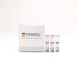 STEMCELL Technologies EasySep Human Pan-Granulocyte Isolation Kit, For