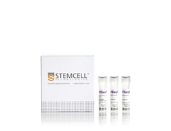 STEMCELL Technologies&nbsp;EasySep&trade; Non-Human Primate CD4+ T Cell Isolation Kit, For processing: 1 x 10^9 cells