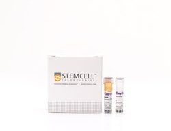 STEMCELL Technologies EasySep Rat T Cell Isolation Kit, For processing: