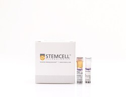 STEMCELL Technologies EasySep Rat CD4+ T Cell Isolation Kit, For processing: