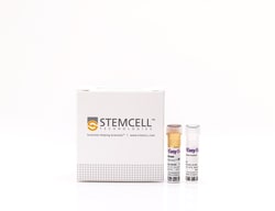 STEMCELL Technologies&nbsp;EasySep&trade; Rat B Cell Isolation Kit, For processing: 1 x 10^9 cells