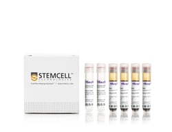 STEMCELL Technologies EasySep Direct Human PBMC Isolation Kit, For processing: