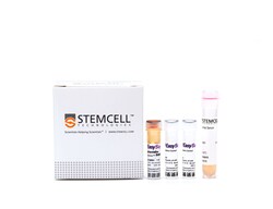 STEMCELL Technologies EasySep Mouse Naïve CD4+ T Cell Isolation Kit, For