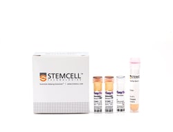 STEMCELL Technologies RoboSep Mouse Memory CD4+ T Cell Isolation Kit 1