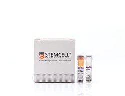 STEMCELL Technologies EasySep Mouse NK Cell Isolation Kit, For processing: