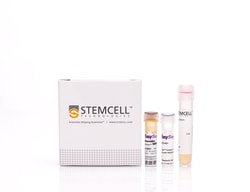 STEMCELL Technologies RoboSep Mouse Streptavidin RapidSpheres Isolation Kit 1 x 10<sup>9</sup> cells | Buy Online | STEMCELL Technologies | Fisher Scientific