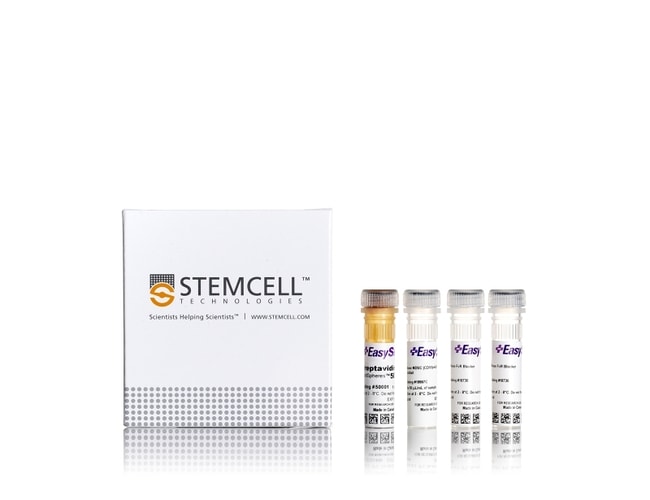 STEMCELL Technologies EasySep™ Mouse MDSC (CD11b+Gr1+) Isolation Kit 1