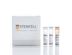 STEMCELL Technologies&nbsp;EasySep&trade; Mouse Epithelial Cell Enrichment Kit II, For processing: 1 x 10^9 cells