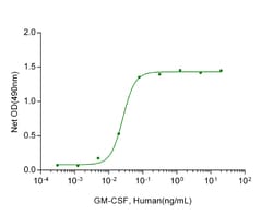 Genscript Corporation&nbsp;GM-CSF, Human(CHO-expressed)