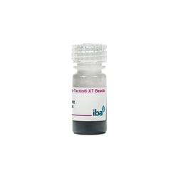 IBA LifeSciences MagStrep Strep-TactinXT magnetic beads (5% suspensions),