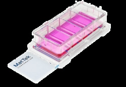 MatTek Corporation (Case of 12) Chambered Cell Culture Slides, 4-well,