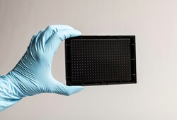 InSphero Akura 384 Spheroid Microplate Polystyrene membrane | Buy Online | InSphero | Fisher Scientific