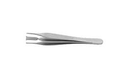 Surgical Design, Inc&nbsp;Double-Kocher Adson Tissue Forceps, 1 x 2 Teeth, Dual Sided