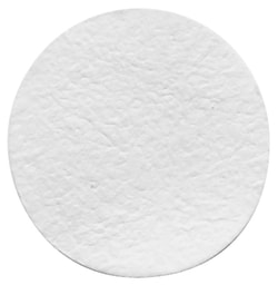 Hach Company Glass Fiber Filter, Pore Size 1.0 µm, Diameter 24 mm, 100/pk