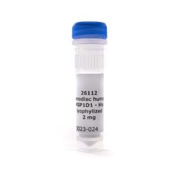 CUBE BIOTECH MSP1D1 HIS LYOPHILIZED HUMAN, Quantity: Each of 1