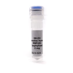 CUBE BIOTECH MSP1D1, human; 2 mg, Quantity: Each of 1