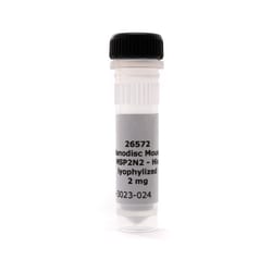 CUBE BIOTECH MOUSE MSP2N2-HIS LYO PROTN 2MG, Quantity: Each of 1