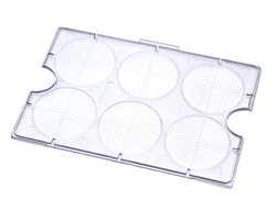 STEMCELL Technologies&nbsp;STEMgrid&trade;-6