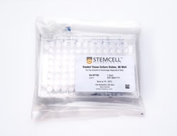 STEMCELL Technologies 96-Well Treated Tissue Culture Plate 1 Plate | Buy Online | STEMCELL Technologies | Fisher Scientific