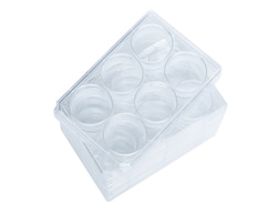 STEMCELL Technologies SmartDish - 50 Pack 50/Pk. | Buy Online | STEMCELL Technologies | Fisher Scientific