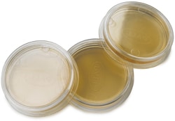 Hach Company m-TEC, modified, prepared agar plates, pk/15, Quantity: Pack