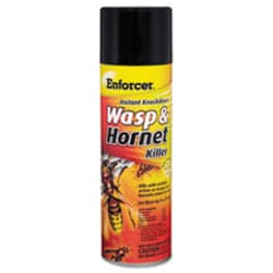 Enterprise Technology Solutions Wasp and Hornet Killer, 16 oz Aerosol Spray