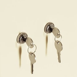 Medicus Health Pair of Replacement Keys (40693-6) for 2898M2 Narcotic Box,