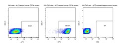 Sino Biological&nbsp;Recombinant Human CD79B Protein (APC site-specific conjugation, His Tag) 25