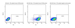 Sino Biological&nbsp;Recombinant Human CD79B Protein (PE site-specific conjugation, His Tag) 25