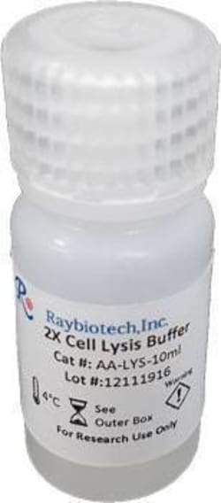 Raybiotech Inc Lysis Buffer, 16 mL, 2X, Quantity: Each of 1