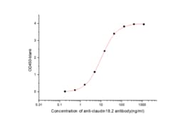 Sino Biological Human Claudin18.2-VLP (Full Length) Protein, Quantity: