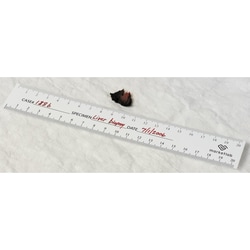 Marketlab, Inc.&nbsp;Bio-Ruler, 20 Pads