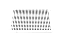Accumax Lab Devices&nbsp;Standard Profile Optical 384 Well PCR Plate, Alpha Numeric Printed