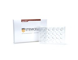 STEMCELL Technologies AggreWell 800 24-well Plate, 1 pack, Size: 1 Unit,