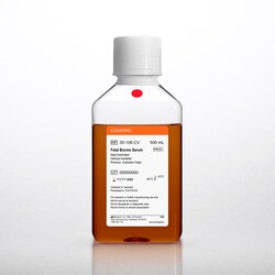 Corning&trade;&nbsp;Fetal Bovine Serum, Premium, Australian Origin
