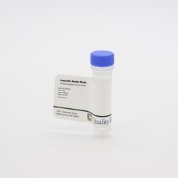 Quality Biological Inc&nbsp;Ampicillin Ready-Made Solution 1mL 10/PK
