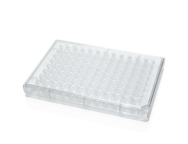 Stemcell Technologies Inc Corning 96Well RoundBottom Microplate, Size Fisher Scientific