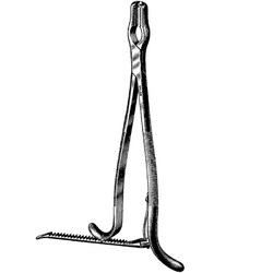 Sklar Instruments&nbsp;Forceps Sklar Microscopy Surgical   1/EA