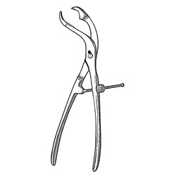 Sklar Instruments&nbsp;Forceps Sklar Microscopy Surgical   1/EA