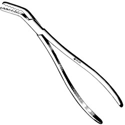 Sklar Instruments&nbsp;Forceps Sklar Microscopy Surgical   1/EA
