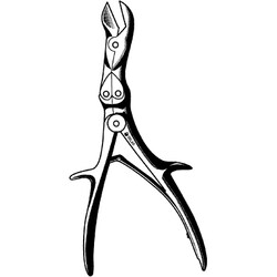 Sklar Instruments&nbsp;Forceps Sklar Microscopy Surgical   1/EA