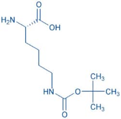 Bachem H-Lys(Boc)-OH, Quantity: Each of 1