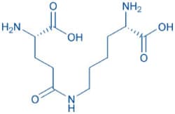 Bachem H-Glu(H-Lys-OH)-OH, Quantity: Each of 1
