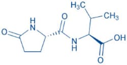 Bachem Pyr-Val-OH, Quantity: Each of 1