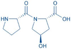 Bachem H-Pro-Hyp-OH, Quantity: Each of 1
