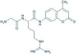 Bachem H-Gly-Arg-AMC, Quantity: Each of 1