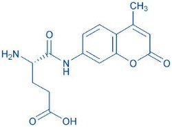 Bachem&nbsp;H-Glu-AMC